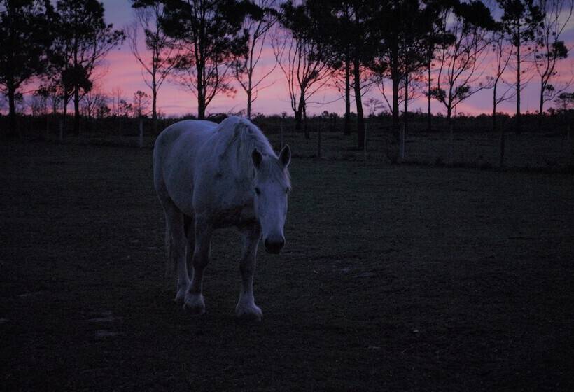 فندق Tniqua Stable Inn