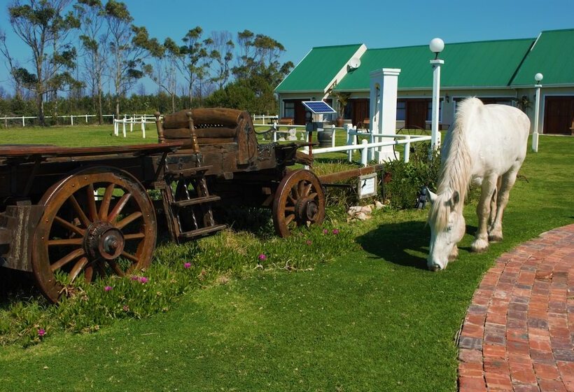 فندق Tniqua Stable Inn