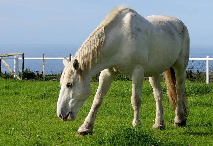 فندق Tniqua Stable Inn