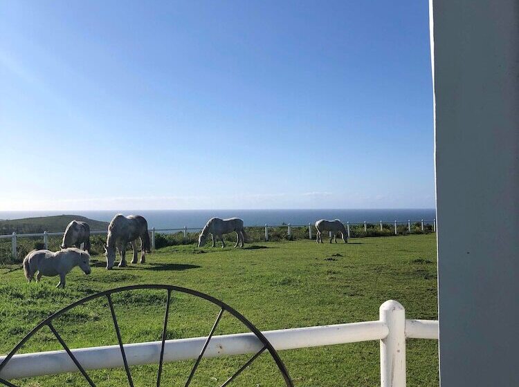 فندق Tniqua Stable Inn