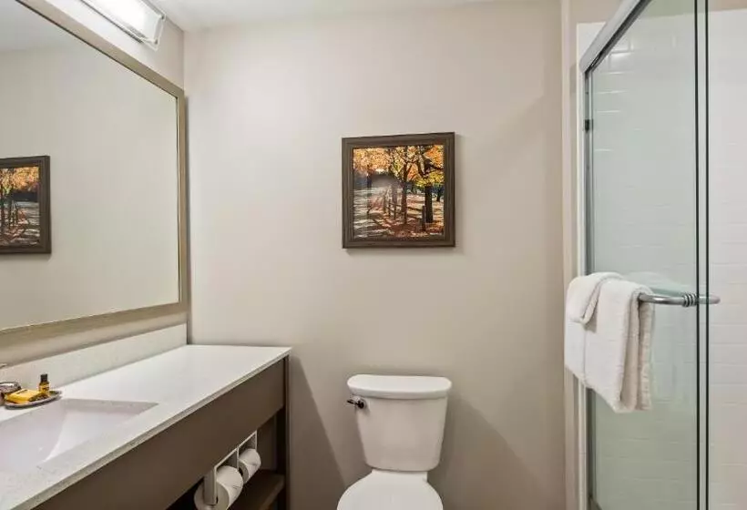 Best Western Plus Bolivar Hotel & Suites