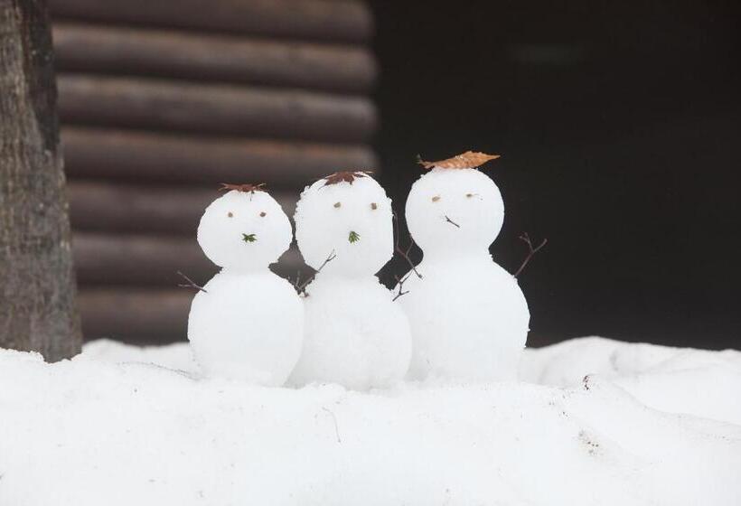 ホテル Toyota Shirakawa-go Eco-institute