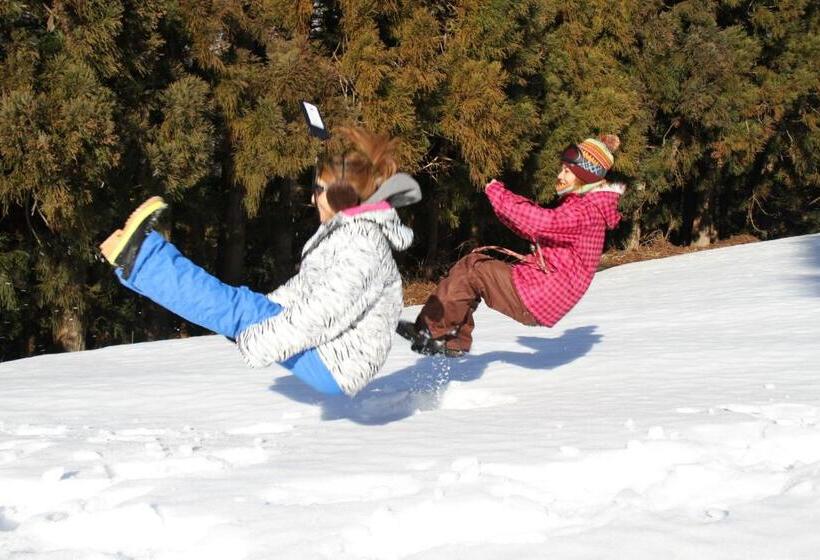 ホテル Toyota Shirakawa-go Eco-institute