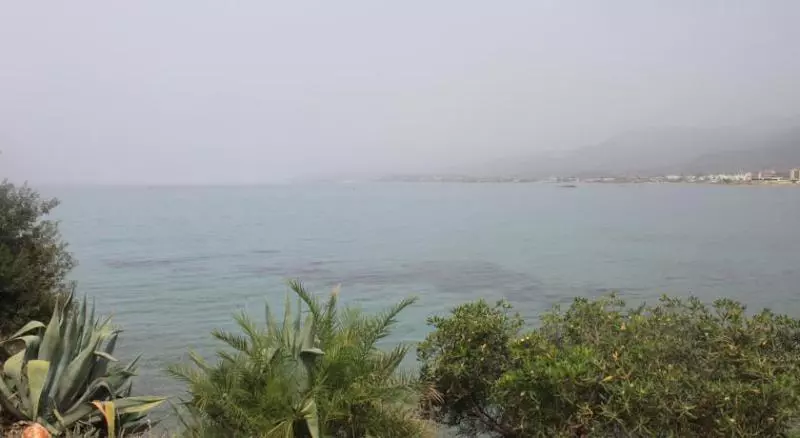 Alexandra Apartments