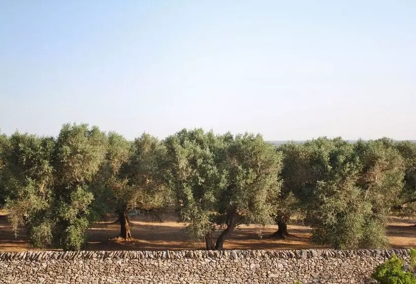 ホテル Antica Masseria Torre Mozza