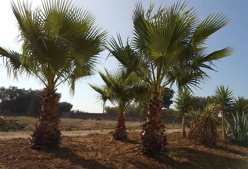 هتل Antica Masseria Torre Mozza