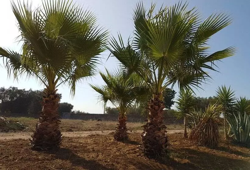 ホテル Antica Masseria Torre Mozza