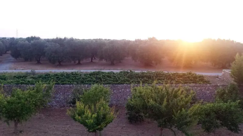 ホテル Antica Masseria Torre Mozza