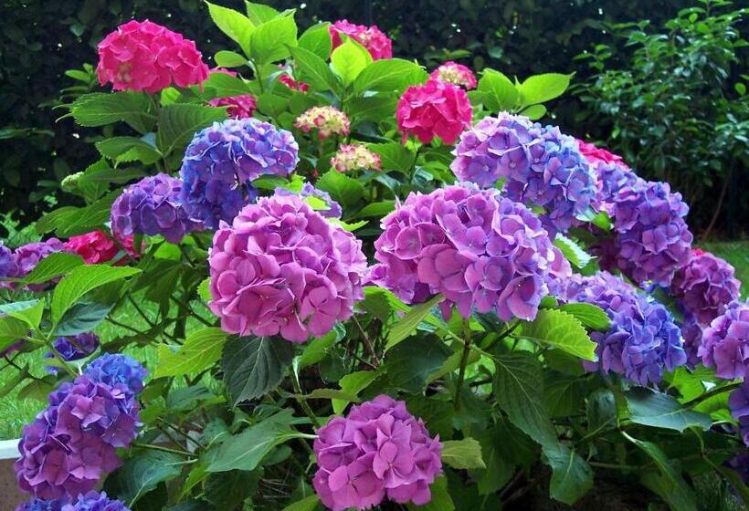 Szálloda B&b Il Parco