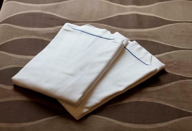 Center Hotel Narita1