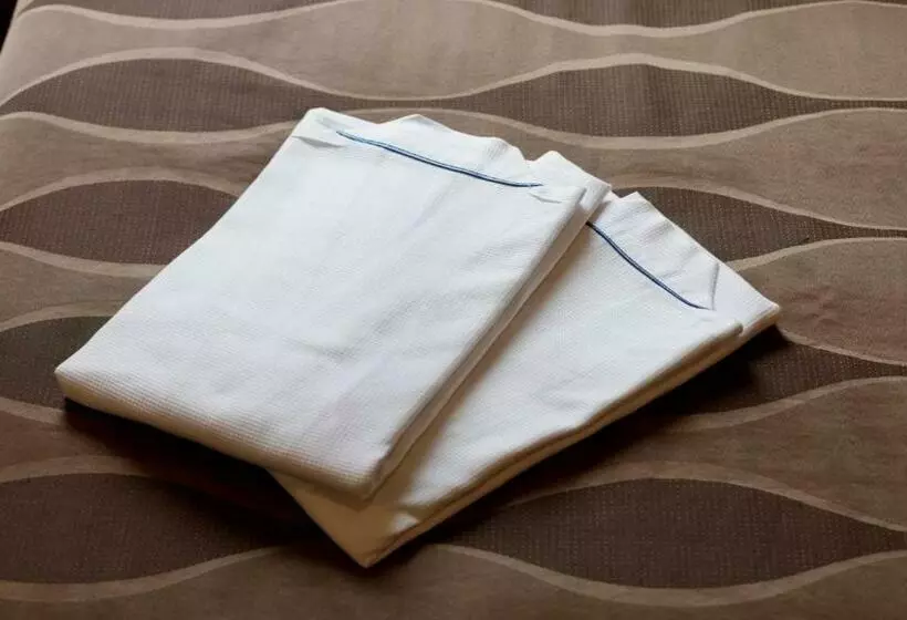 Center Hotel Narita1