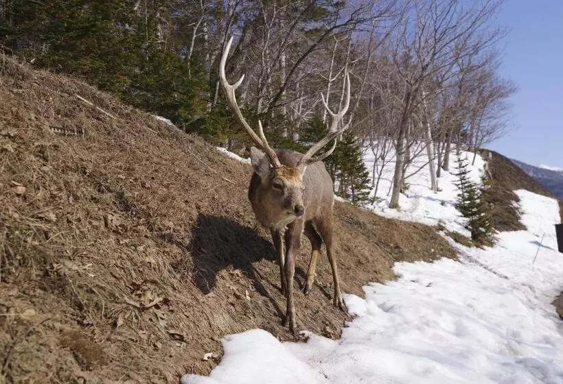 Hotelli Shiretoko Village
