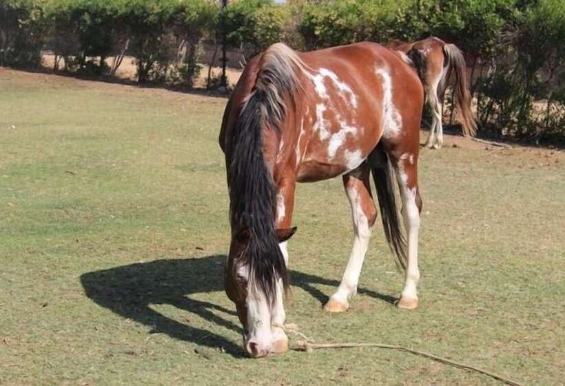 هتل Six Corners Resort