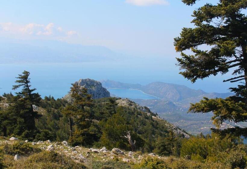 Отель Vassilikon