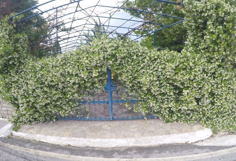 هتل Zafiria Apartments