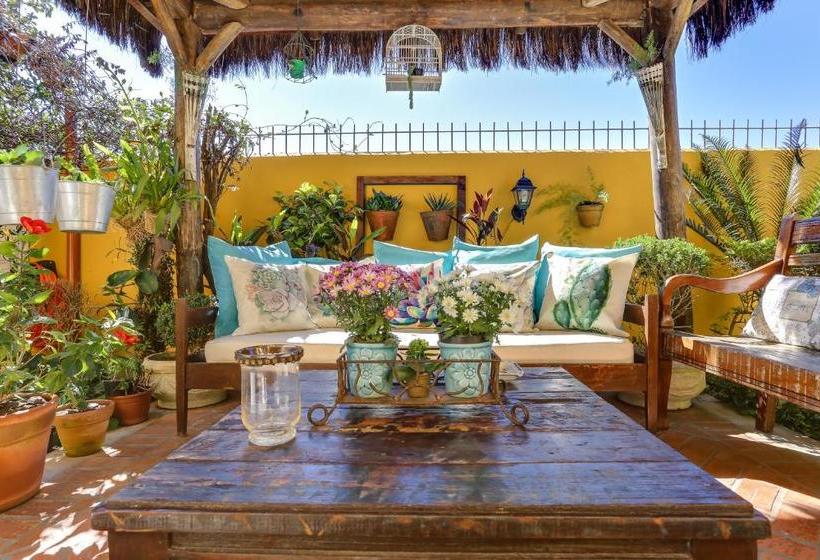 ホテル Apart Carolina