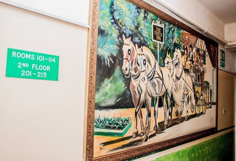 هتل The Grey S Inn