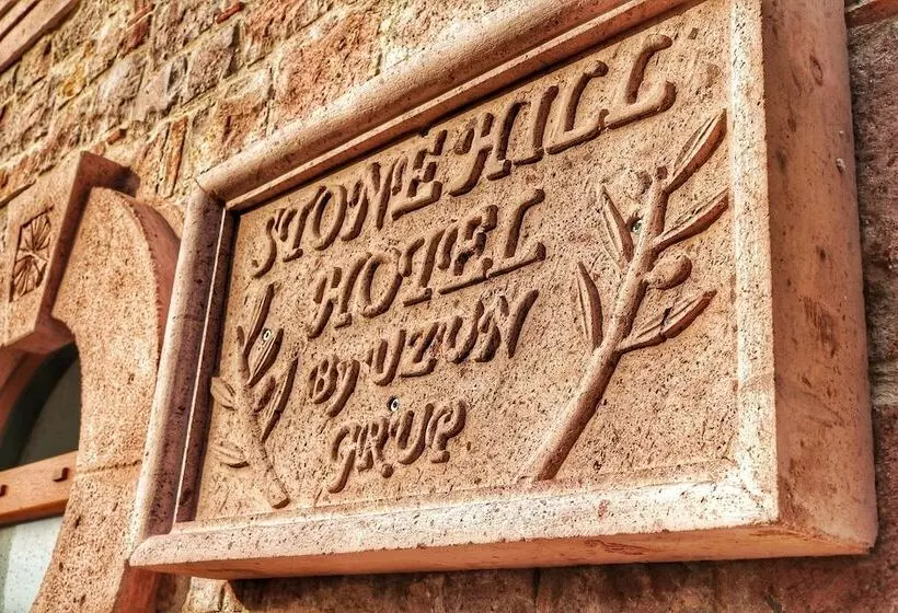 هتل Stone Hill