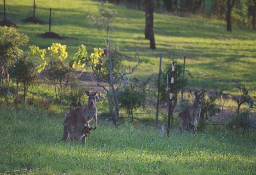 Отель Englewood Ridge