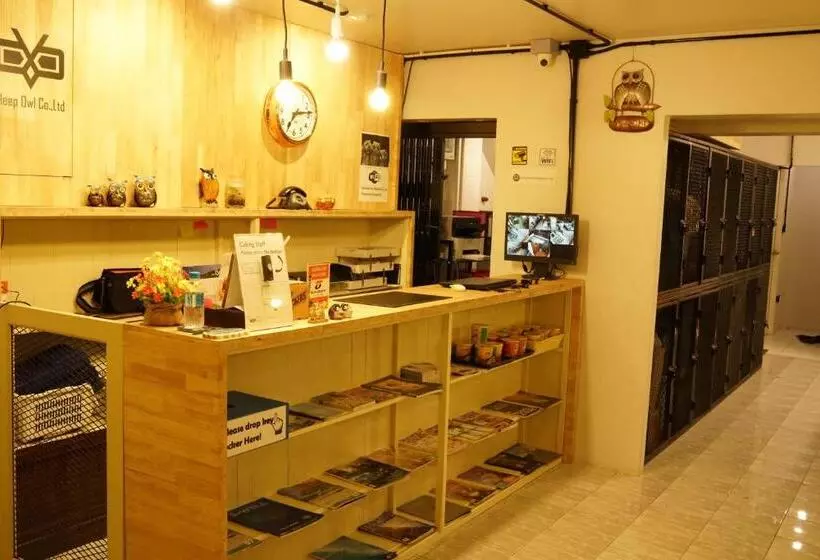 هتل Sleep Owl Hostel