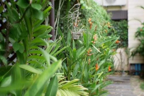 בית מלון כפרי Sukhothai House Chiang Mai