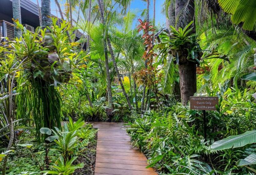 Отель The Palms At Palm Cove