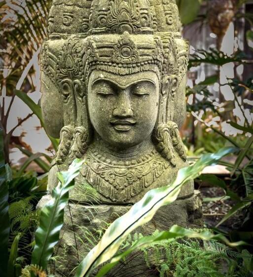 Отель The Palms At Palm Cove