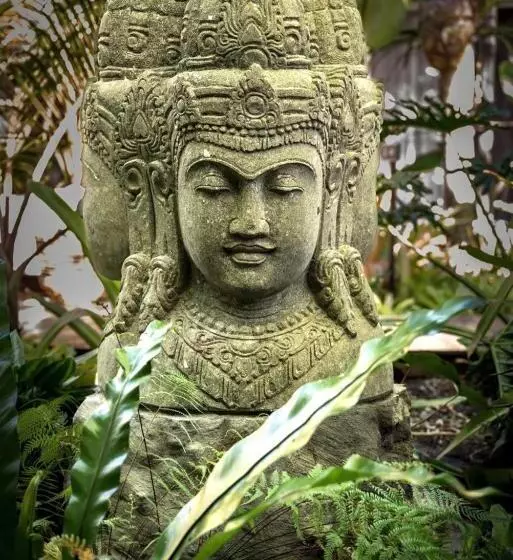 ホテル The Palms At Palm Cove