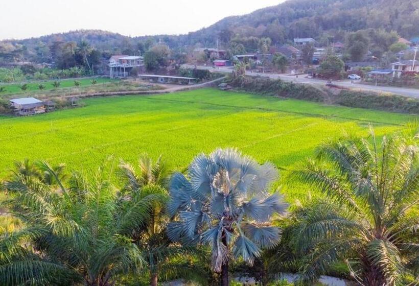 هتل The White House Boutique Resort