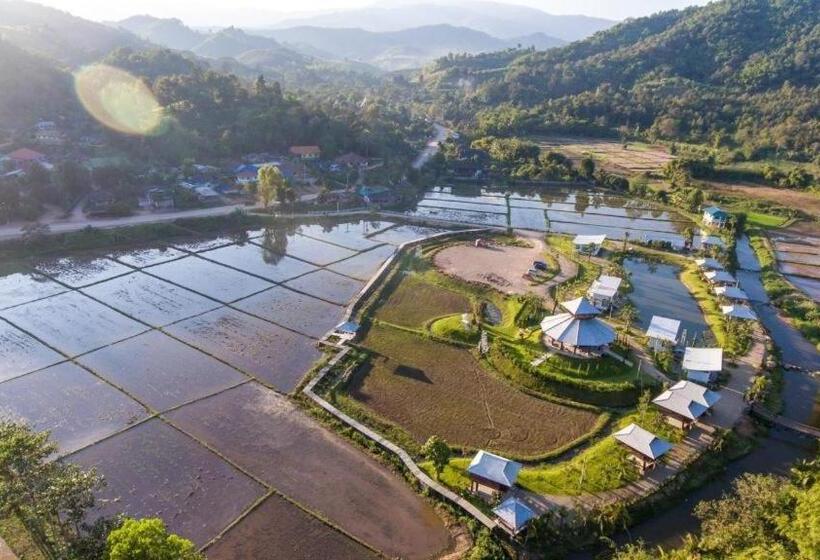 هتل The White House Boutique Resort