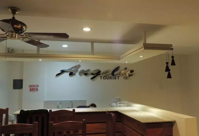 ホテル Angelic Tourist Inn
