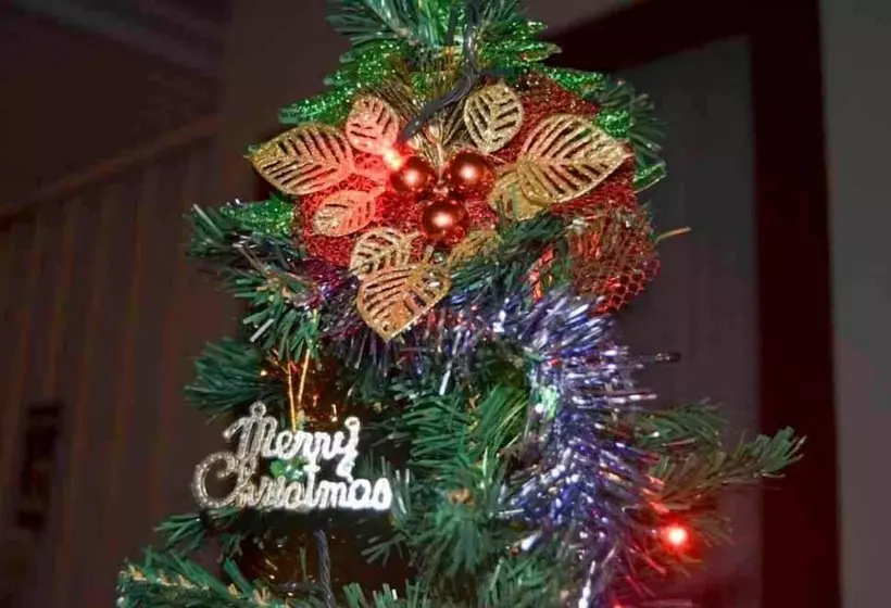 ホテル Beluran Serene Guesthouse