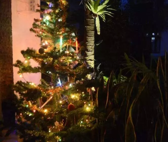 ホテル Beluran Serene Guesthouse