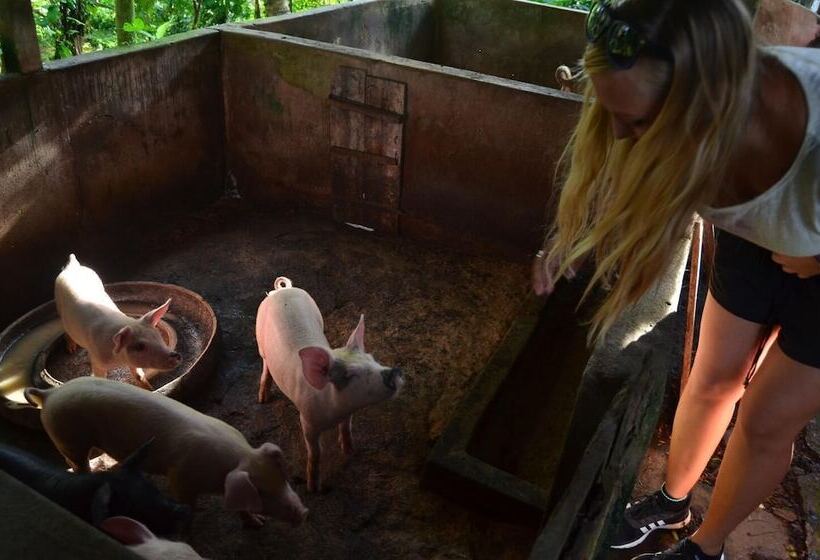 Otel Beluran Serene Guesthouse