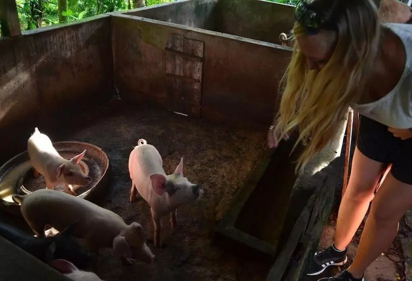 ホテル Beluran Serene Guesthouse