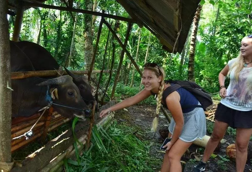 ホテル Beluran Serene Guesthouse