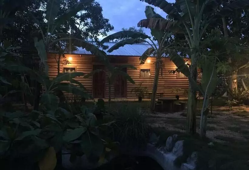 تختخواب و صبحانه Terreza's Place