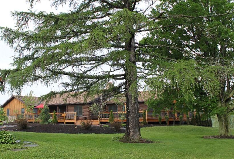 민박 Bear Lodges & 131 Main Street