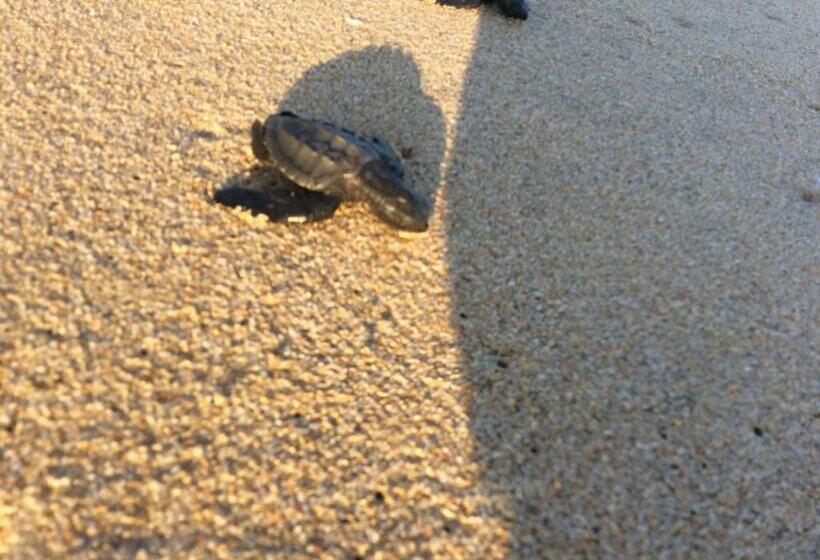 Condominio Agave Del Mar