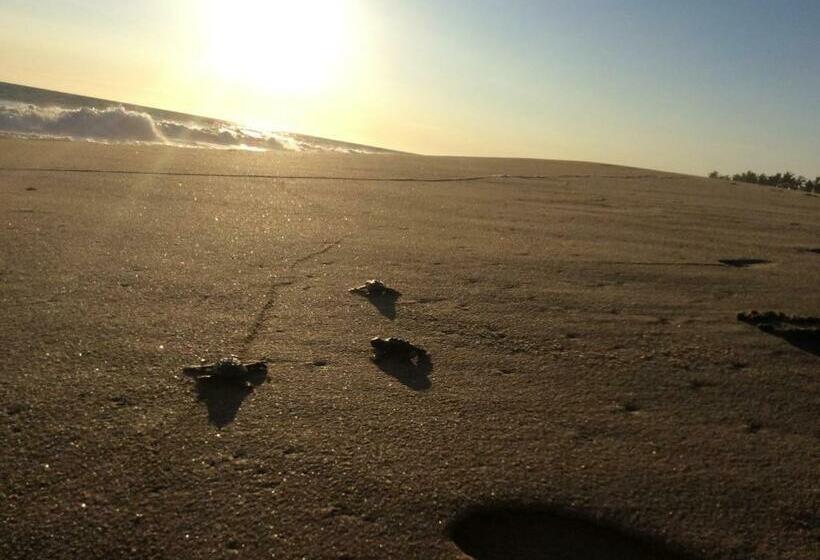 Condominio Agave Del Mar