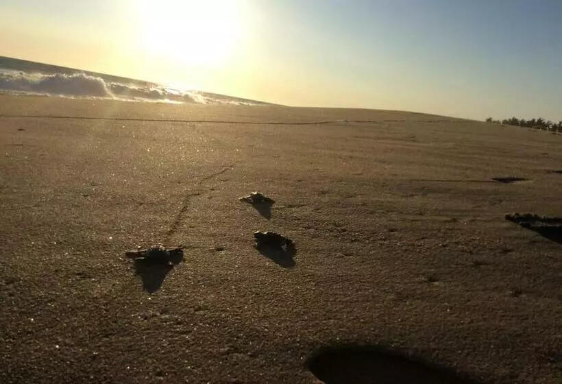 Condominio Agave Del Mar