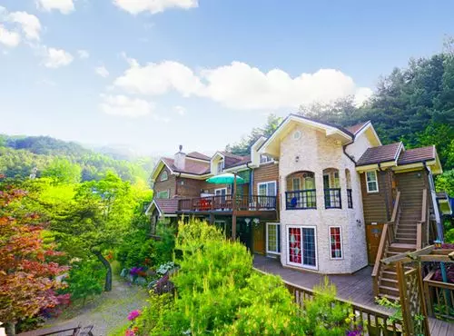 Mir Pension