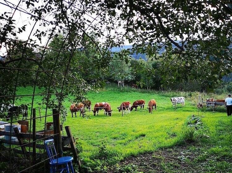 酒店 Haugtun Gårdspensjonat Og Kulturverksted