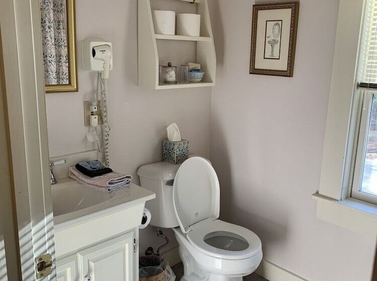 مبيت وإفطار Buttonwood Inn On Mount Surprise