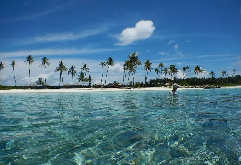پانسیون Beach Heaven Maldives   Golden Turtle Guest House