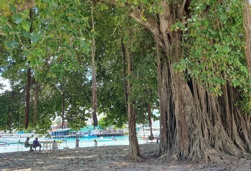 پانسیون Beach Heaven Maldives   Golden Turtle Guest House