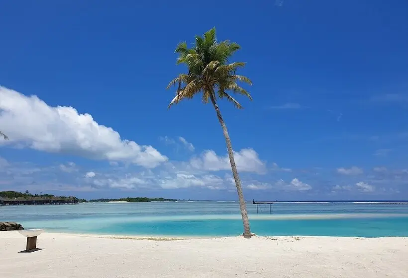 پانسیون Beach Heaven Maldives   Golden Turtle Guest House