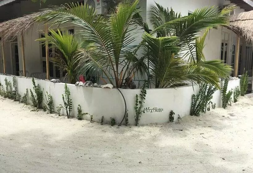 ペンション Beach Heaven Maldives   Golden Turtle Guest House