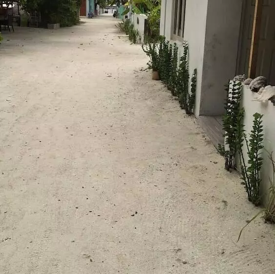 ペンション Beach Heaven Maldives   Golden Turtle Guest House