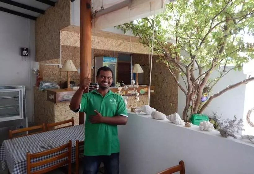 ペンション Beach Heaven Maldives   Golden Turtle Guest House